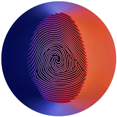 Dandelion's compliance and fraud-control safeguards