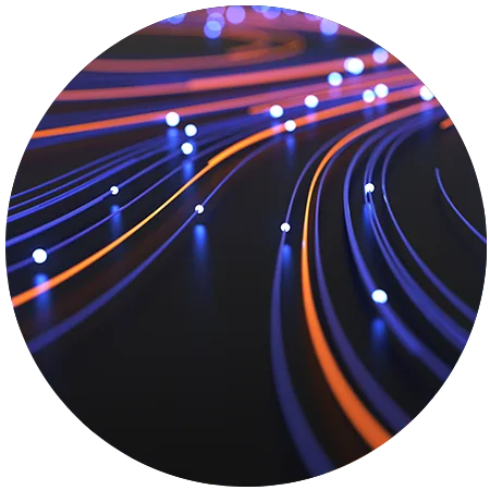 Dandelion combining global standards with local payments expertise
